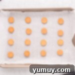 Cookie pieces lined up on a tray