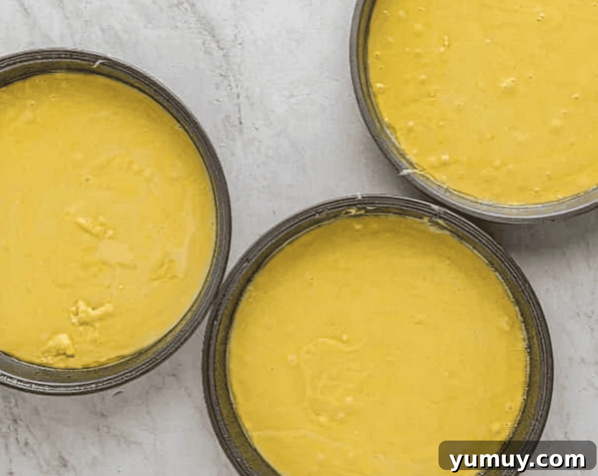 Sun-Kissed Lemon Blackberry Symphony 12 yellow cake batter divided between 3 round cake pans.