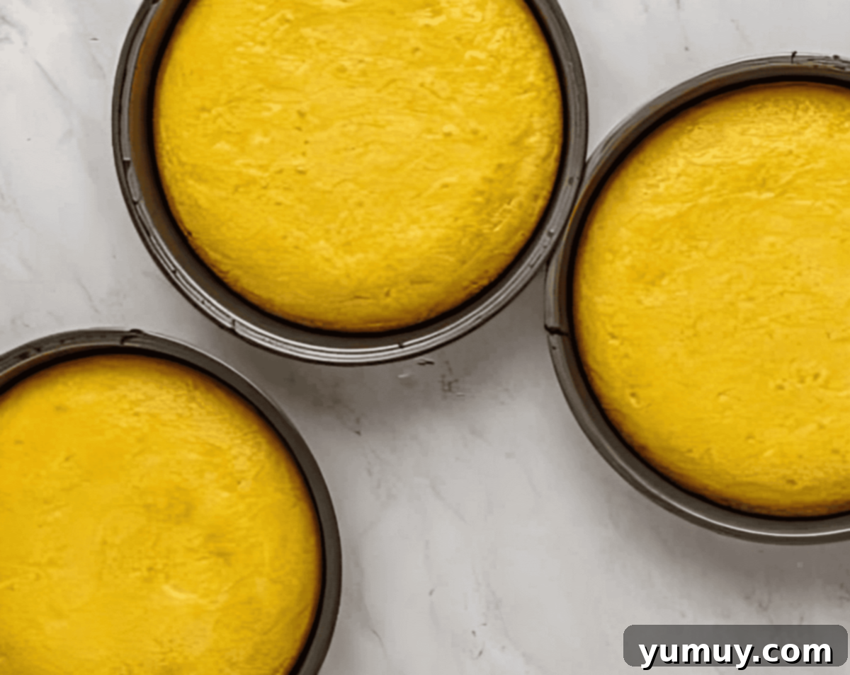 Sun-Kissed Lemon Blackberry Symphony 13 3 baked yellow cakes in round cake pans.