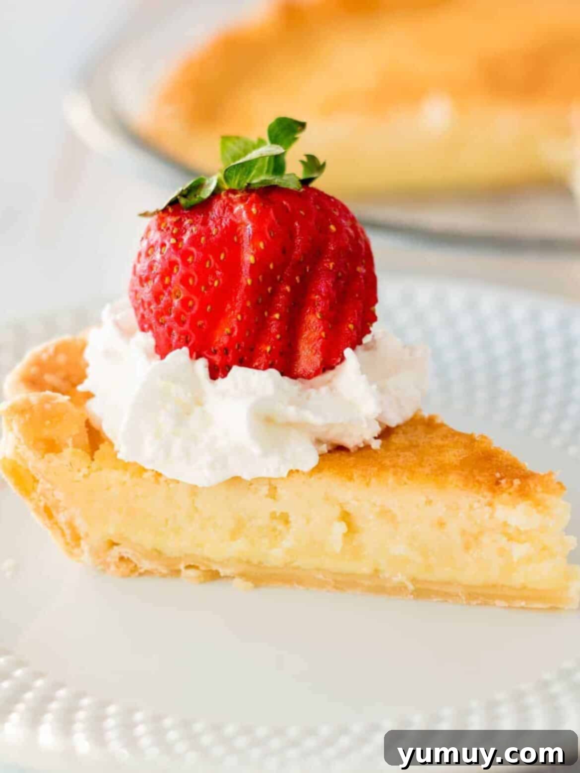 A beautifully sliced buttermilk pie, garnished with a dollop of whipped cream and a fresh strawberry slice, rests on a pristine white plate, ready to be savored.