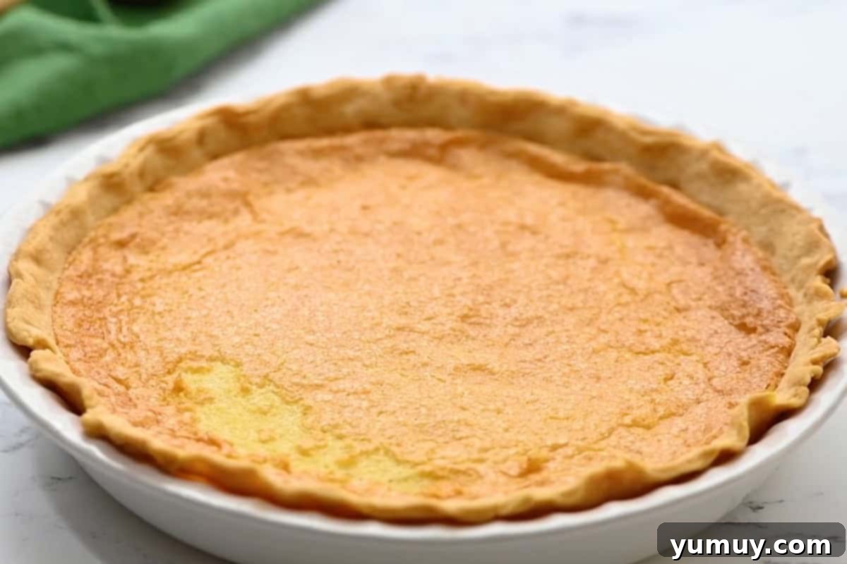 A freshly baked buttermilk pie, still hot and golden brown, resting in its pie pan after coming out of the oven.
