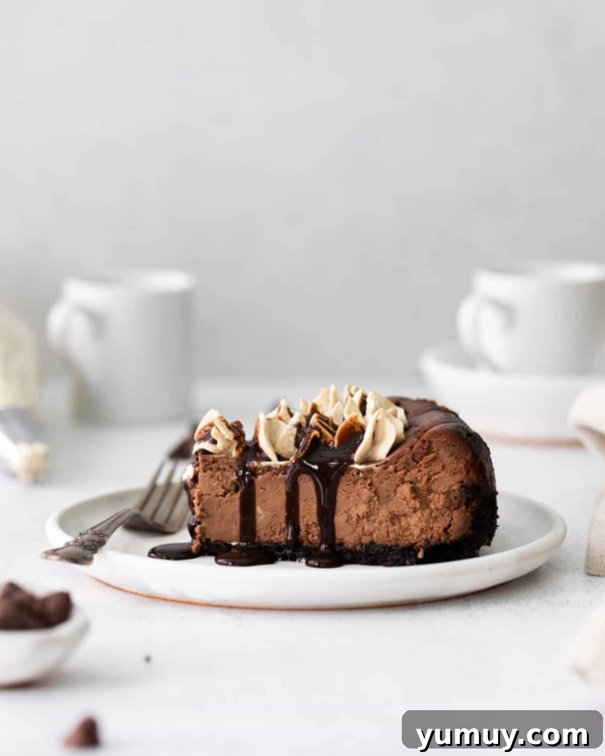 A slice of mocha chocolate cheesecake, showcasing its rich layers and creamy texture.