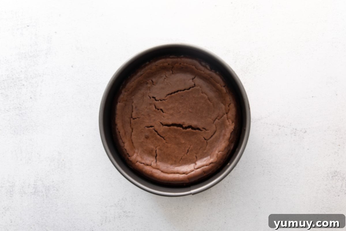 A perfectly baked mocha cheesecake, still in its springform pan, showing a golden-brown top.