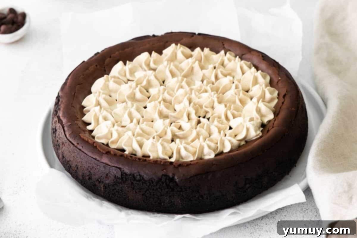A chocolate coffee cheesecake topped with elegant mocha whipped cream and chocolate shavings.