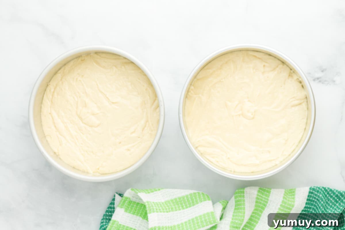 cake batter split between two round cake pans