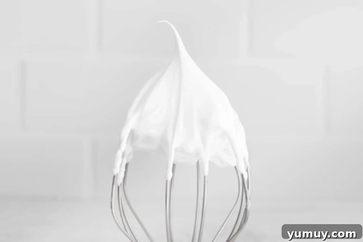 The whisk attachment of a stand mixer holding stiff, glossy peaks of whipped egg whites and sugar, indicating perfectly prepared meringue for macarons.