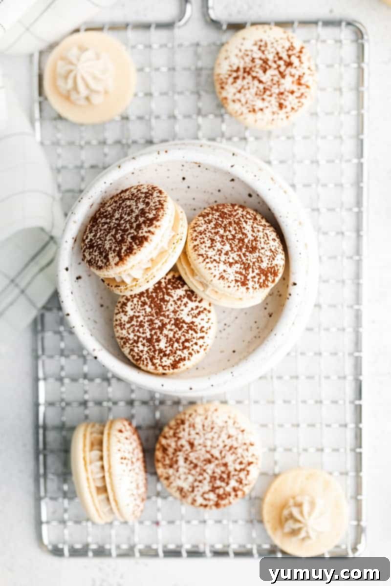 A close-up, overhead view of three delectable Tiramisu Macarons nestled in a white bowl, placed on a wire cooling rack, perfectly showcasing their cocoa-dusted tops and inviting presentation.