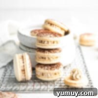Featured image of a perfectly crafted Tiramisu Macaron, highlighting its delicate shell and creamy filling.
