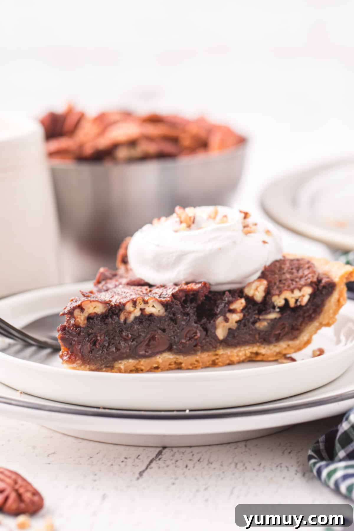 A perfectly sliced piece of chocolate pecan pie on a white plate, showcasing its rich, gooey chocolate filling and crunchy pecan topping.