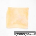 Flaky Pie Crust Apple Delights 5 Pie dough rolled out into a rectangle and cut into squares.