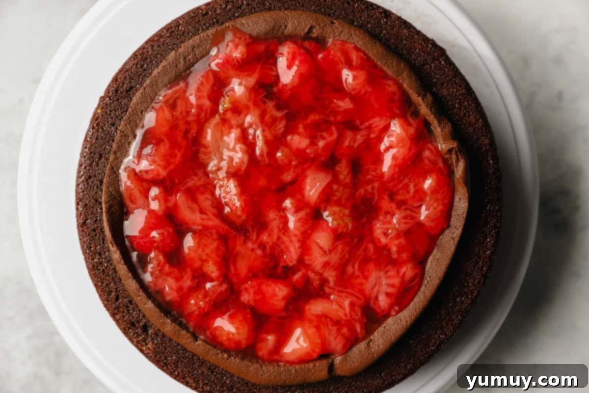 Decadent Chocolate Strawberry Delight 13 A single layer of chocolate cake, artfully topped with a protective ring of chocolate frosting, carefully filled with luscious strawberry preserves within the border.