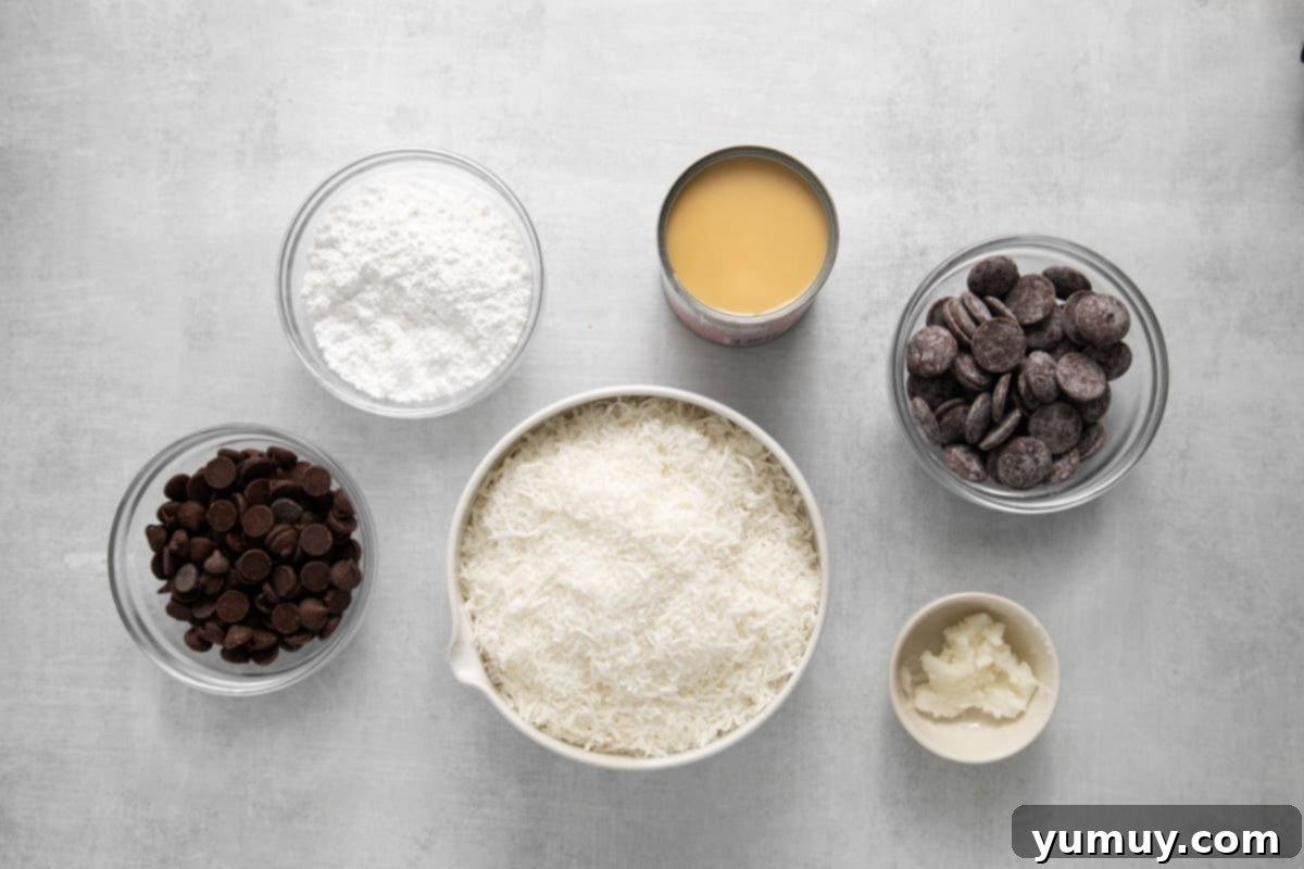 Creamy Coconut Delights 5 Overhead view of all the fresh ingredients neatly arranged for making delicious chocolate coconut truffles.