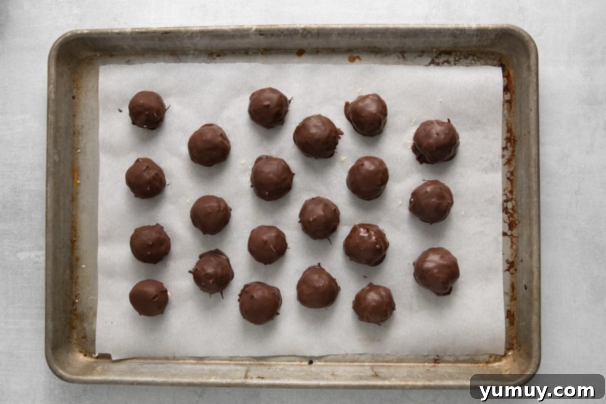 Creamy Coconut Delights 10 Twenty-one freshly dipped and coated chocolate coconut truffles, neatly arranged on a parchment-lined baking sheet, awaiting their final chill.