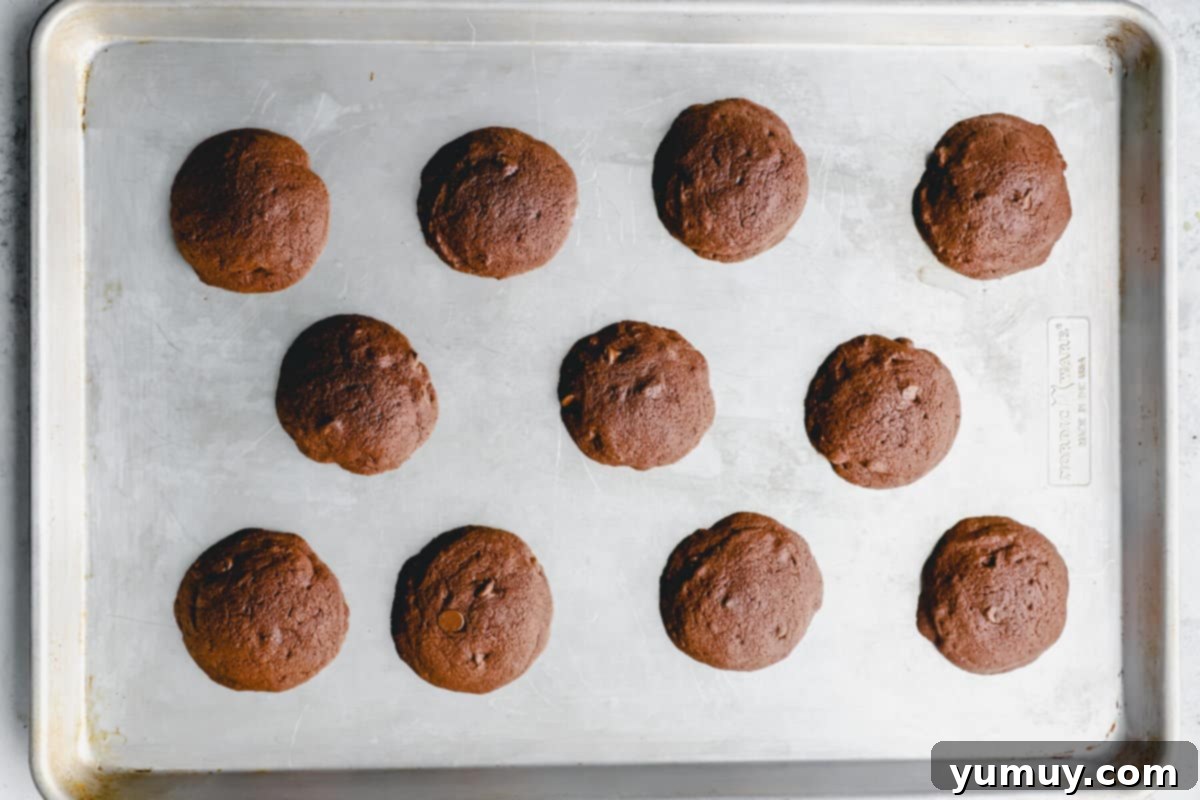 11 baked cosmic brownie cookies on a baking sheet.