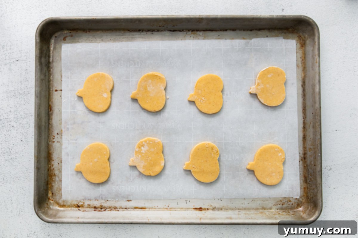 pumpkin shaped cookies no a baking tray, unbaked