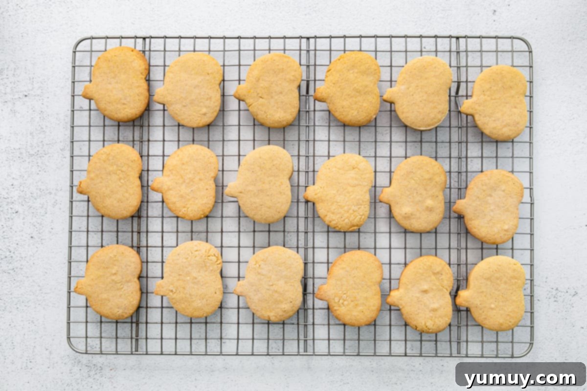 pumpkin shaped sugar cookies on a cooling rack