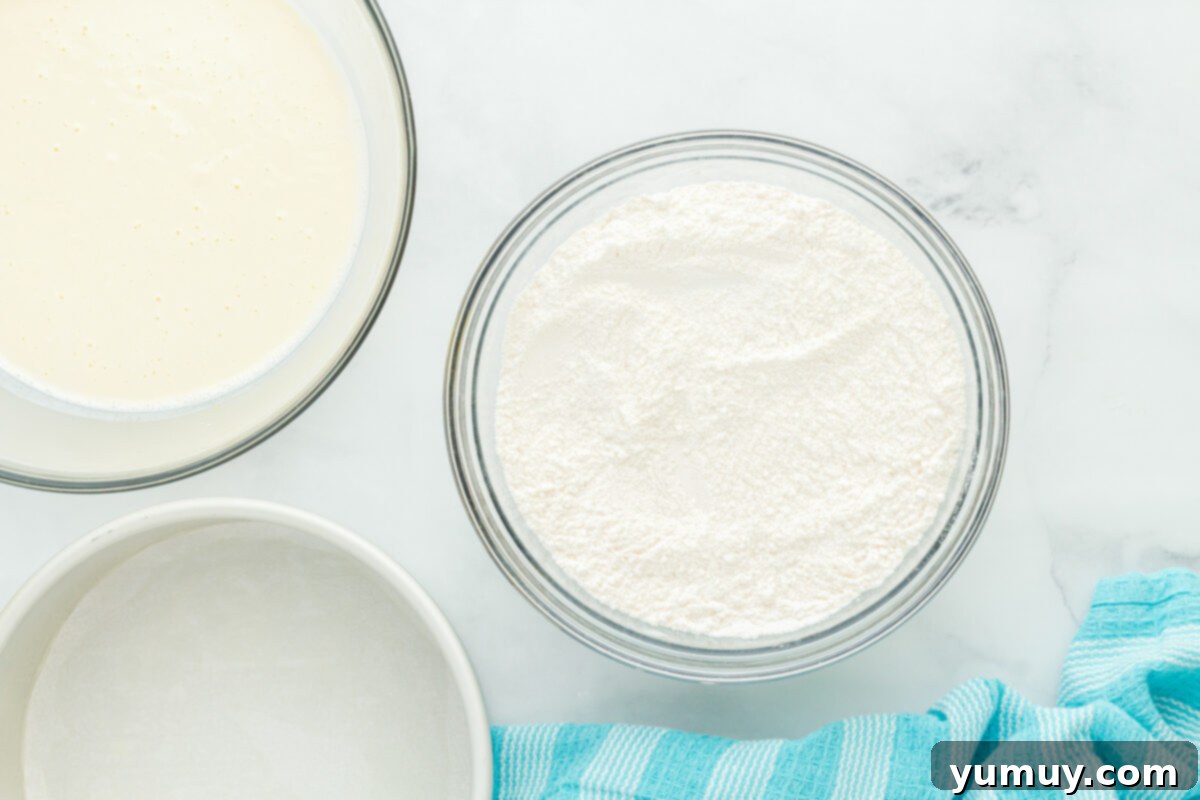 Winged Whimsy Cake 6 Overhead view of a glass bowl containing the dry ingredients for the airplane cake, perfectly mixed and ready.