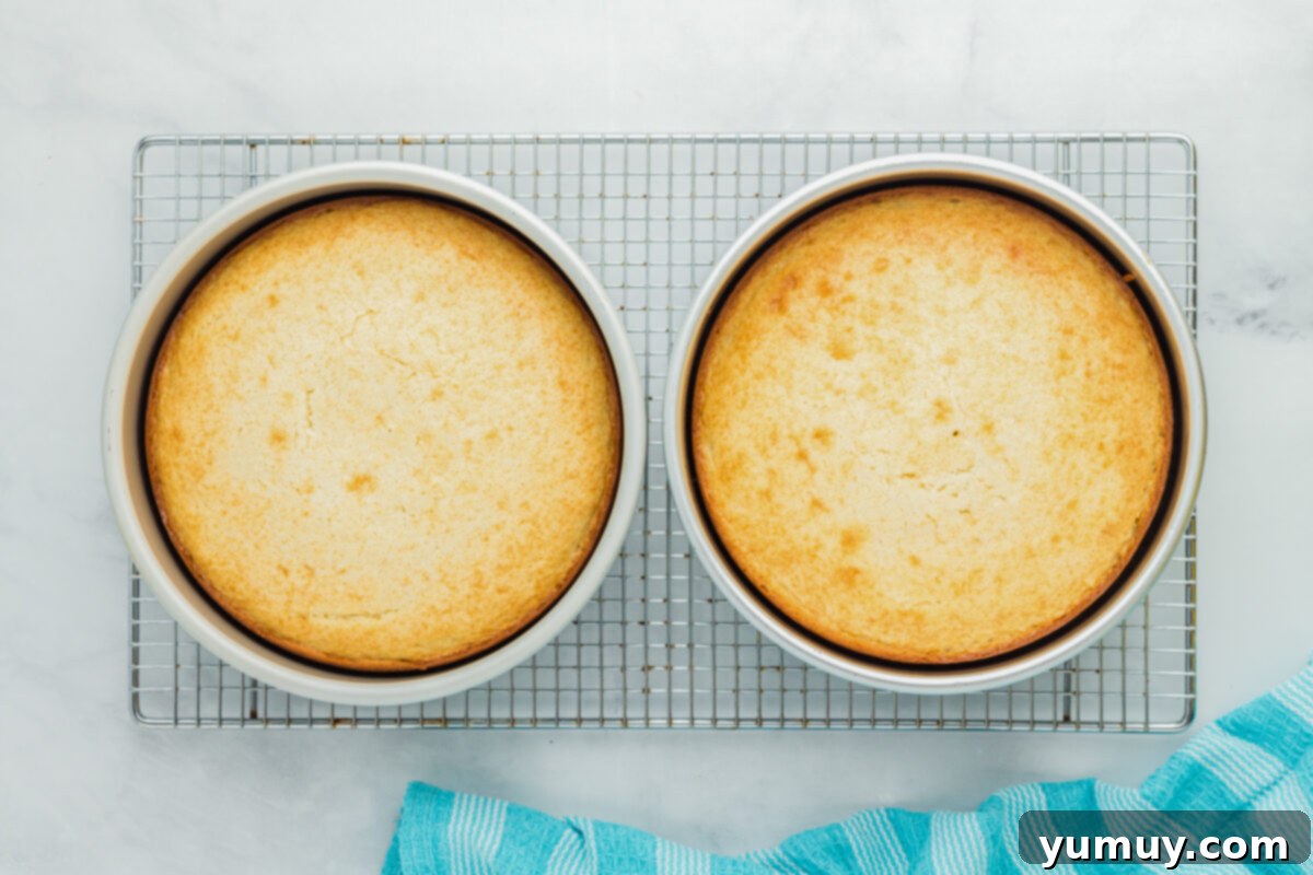 Winged Whimsy Cake 9 Overhead view of two baked airplane cakes, removed from the oven and cooling in their pans on a wire rack.