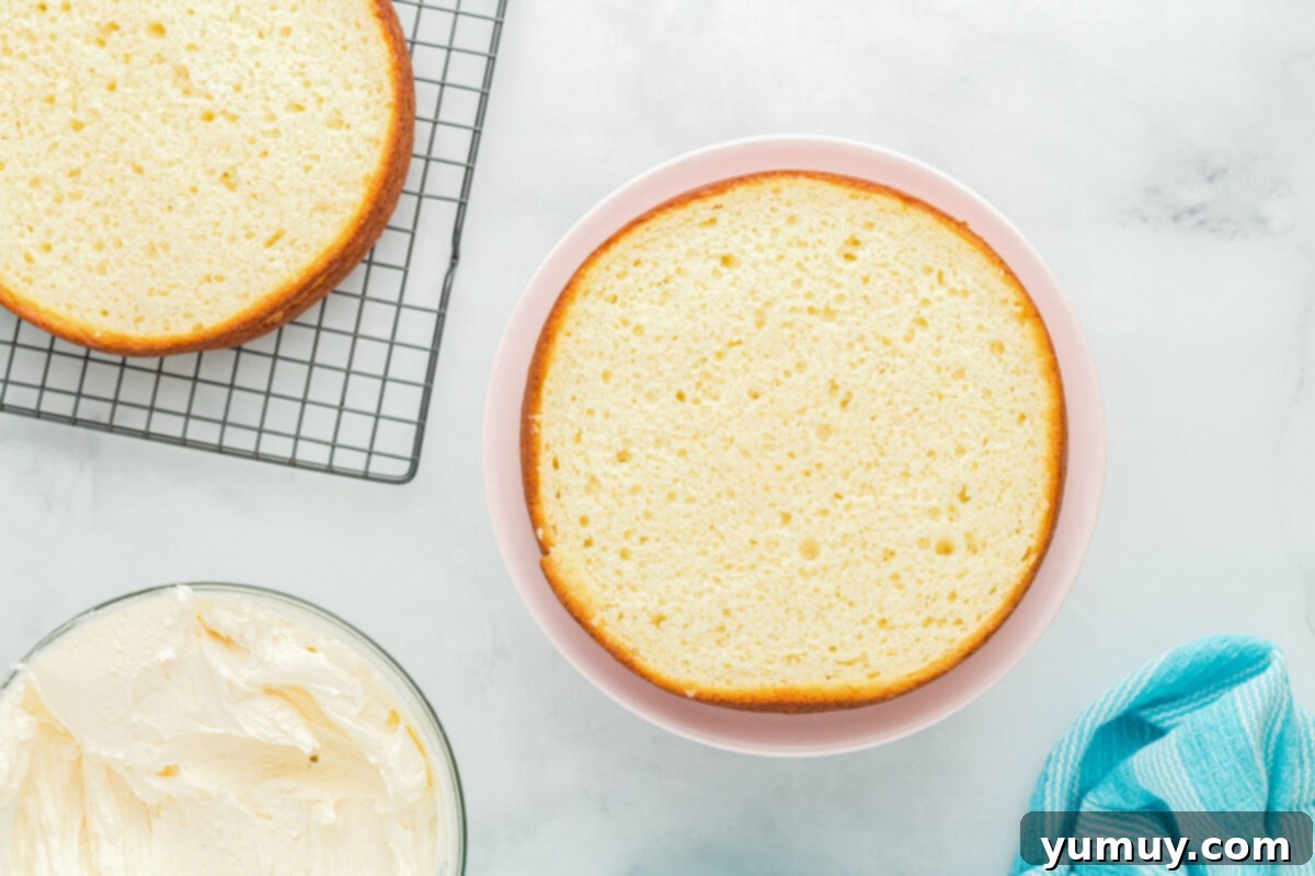 Winged Whimsy Cake 11 Overhead view of a perfectly leveled cake layer placed on a cake stand, secured with a thin layer of frosting, ready for stacking.