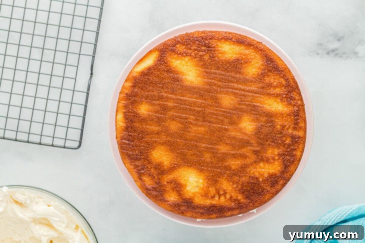 Winged Whimsy Cake 12 Overhead view of two perfectly stacked airplane cake layers on a cake stand, with a generous layer of frosting in between.