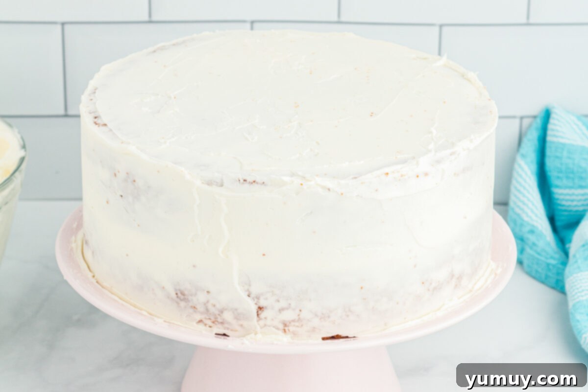 Winged Whimsy Cake 13 Side view of an airplane cake with a thin crumb coat of frosting on a white cake stand, showing trapped crumbs.
