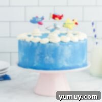 Winged Whimsy Cake 4 Featured image of the completed airplane cake, decorated with blue frosting, white clouds, and airplane toppers.