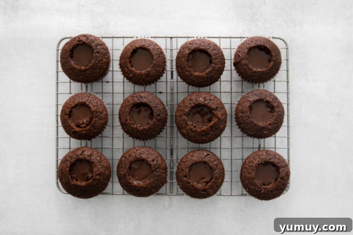 Twelve Kahlua cupcakes arranged on a wire rack, each expertly filled with luscious ganache centers.