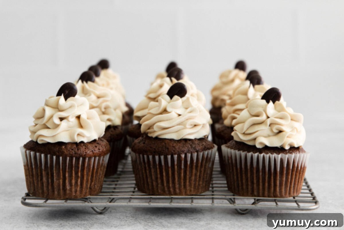 Nine elegantly frosted Kahlua cupcakes, arranged artfully on a cooling wire rack.
