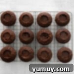 Twelve Kahlua cupcakes arranged on a wire rack, each expertly filled with luscious ganache centers.