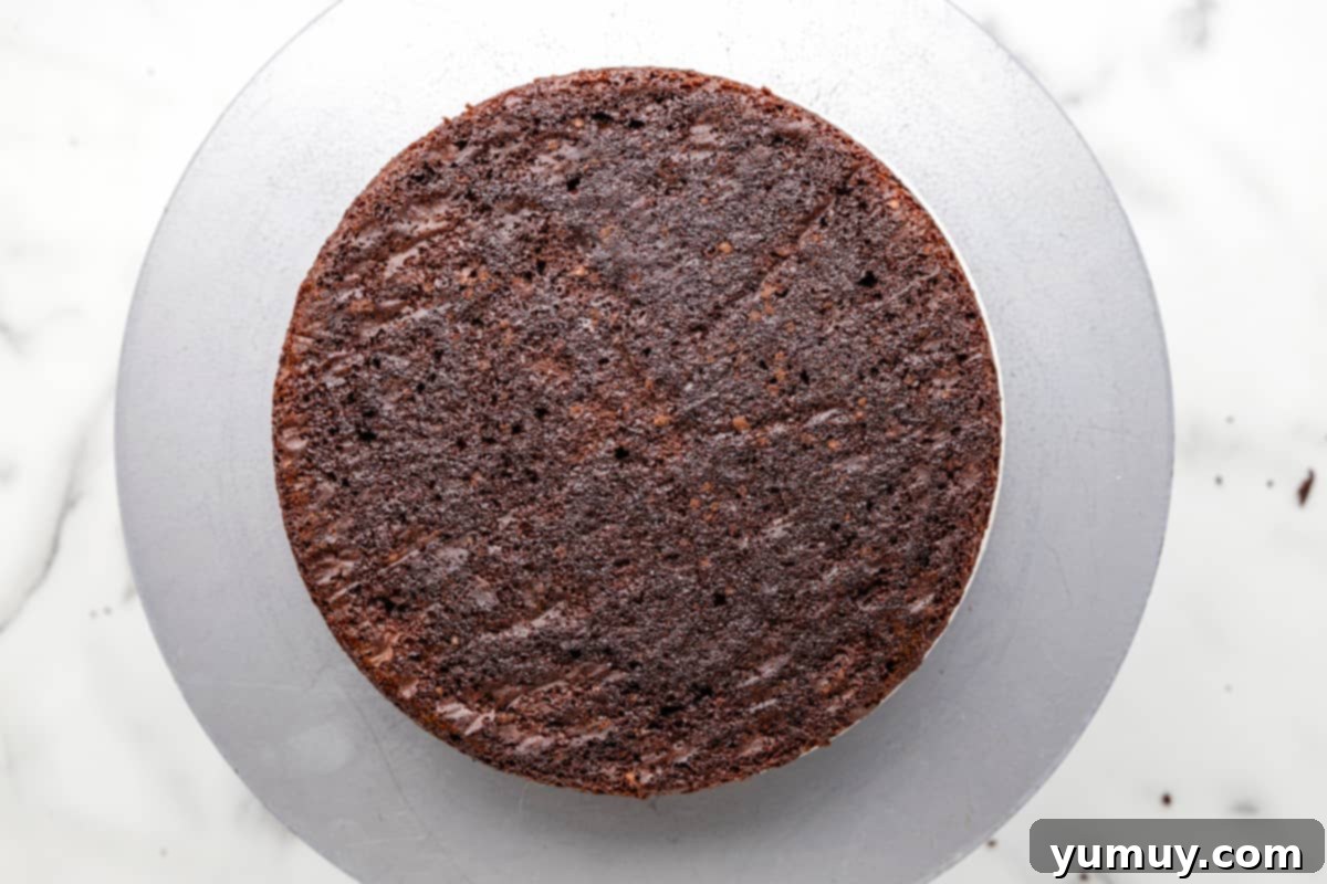 Dark Chocolate Raspberry Gateau 13 a layer of chocolate cake on a gray cake board.