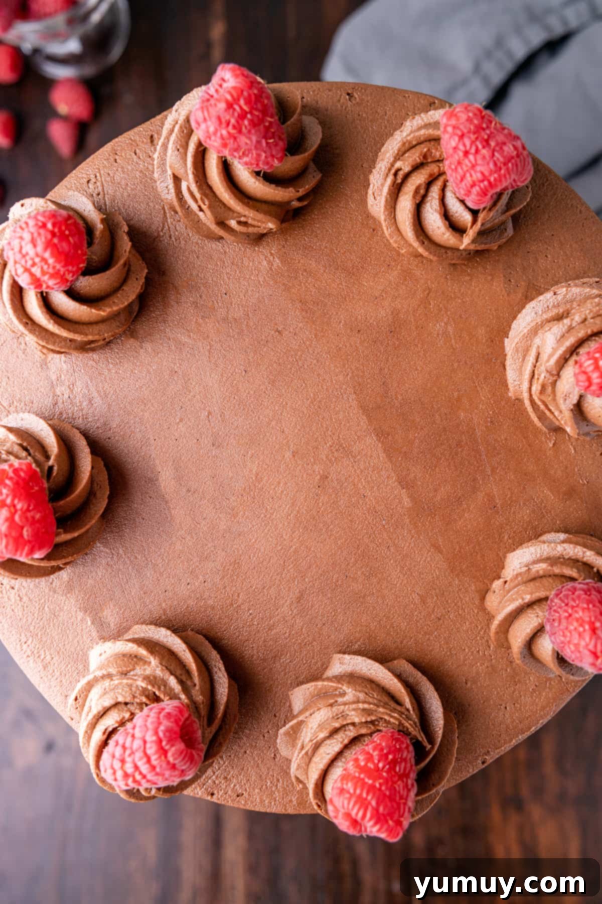 Dark Chocolate Raspberry Gateau 3 overhead view of chocolate raspberry cake.