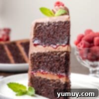 Dark Chocolate Raspberry Gateau 4 featured chocolate raspberry cake.
