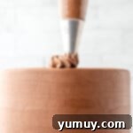 Dark Chocolate Raspberry Gateau 10 frosting piped on a frosted chocolate raspberry layer cake.