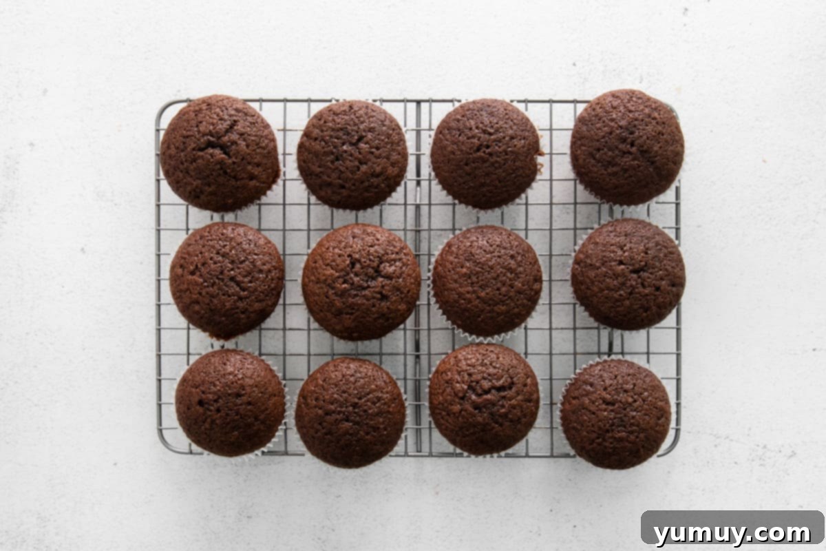 Twelve freshly baked and golden-brown chocolate cupcakes neatly arranged on a wire rack, cooling down after coming out of the oven.