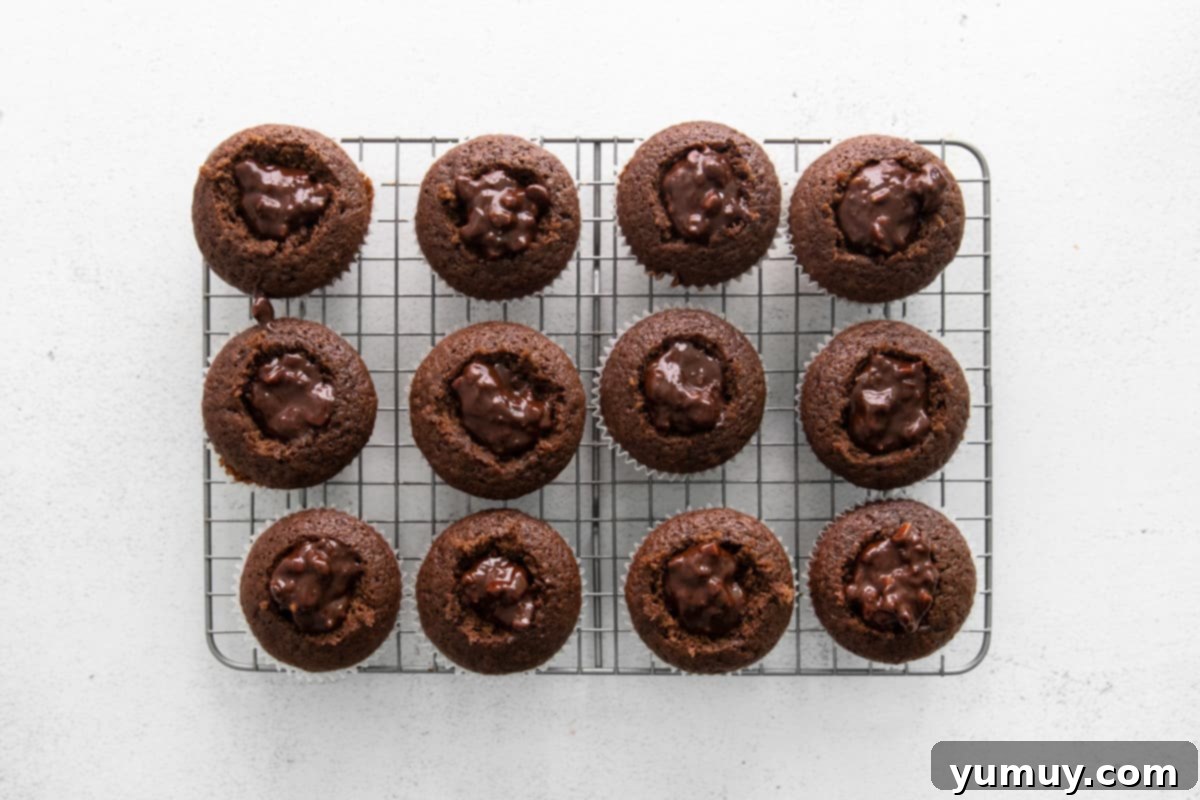 Twelve chocolate cupcakes, expertly cored and filled with the rich chocolate-hazelnut mixture, awaiting their final frosting.