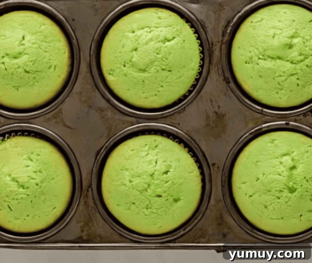 Cinco de Mayo Fiesta Cupcakes 8 baked green cupcakes perfectly risen in a cupcake tin, cooling down.