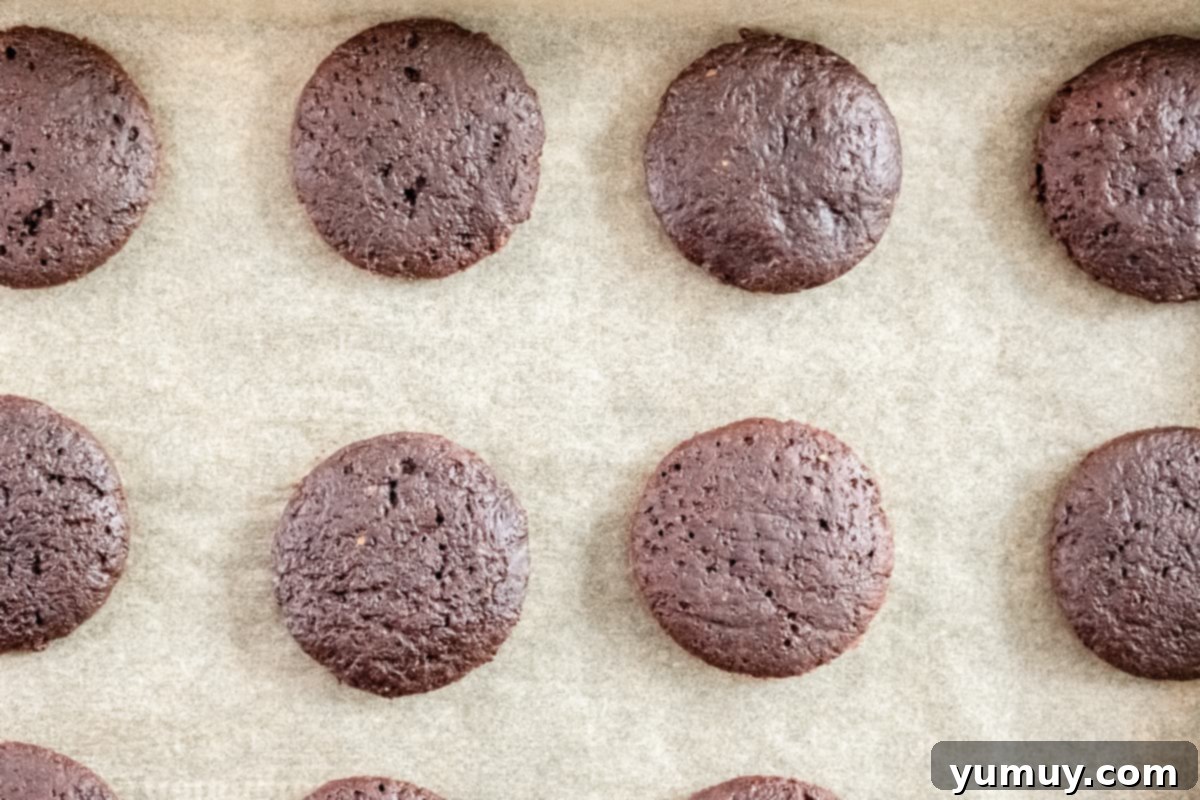 Close-up overhead view of a fresh batch of baked Thin Mint cookies on a parchment-lined baking sheet, exhibiting their dark chocolate color and even shape.