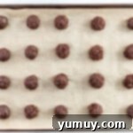 Twenty round Thin Mint cookie dough portions arranged neatly on a parchment-lined baking sheet, ready for baking.