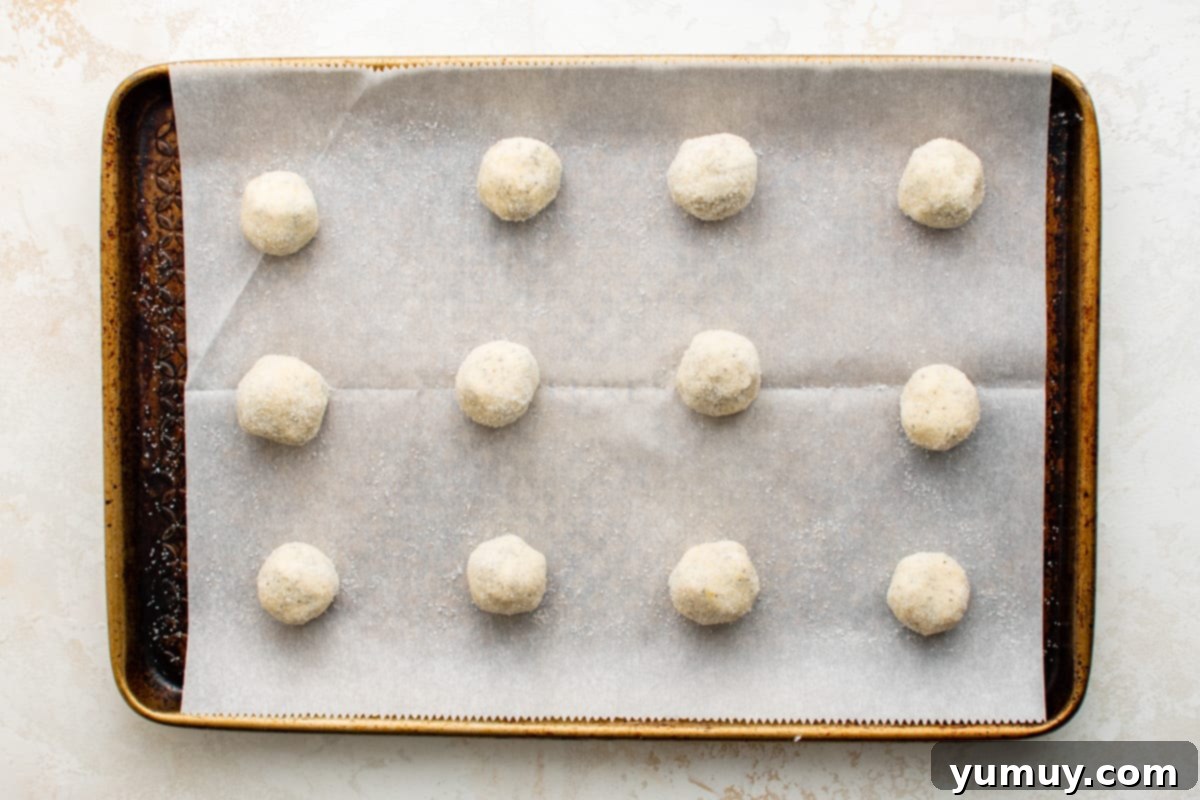 Tangy Lemon Curd Delights 13 Uniform balls of lemon cookie dough, glistening with granulated sugar and neatly spaced on a parchment-lined baking sheet, prepared for baking.