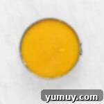 The fully assembled no-bake mango cheesecake in a springform pan, generously topped with a vibrant layer of mango jam.