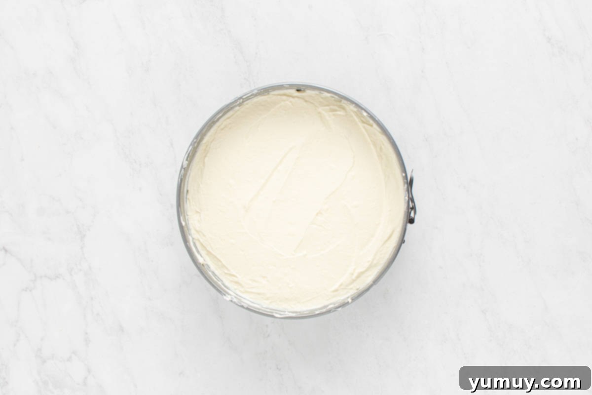 The smooth, white cheesecake filling spread perfectly over the golden vanilla wafer crust in a springform pan, awaiting its essential chilling period to set.