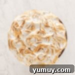 toasted meringue on top of a frosted smores cake on a cake stand.