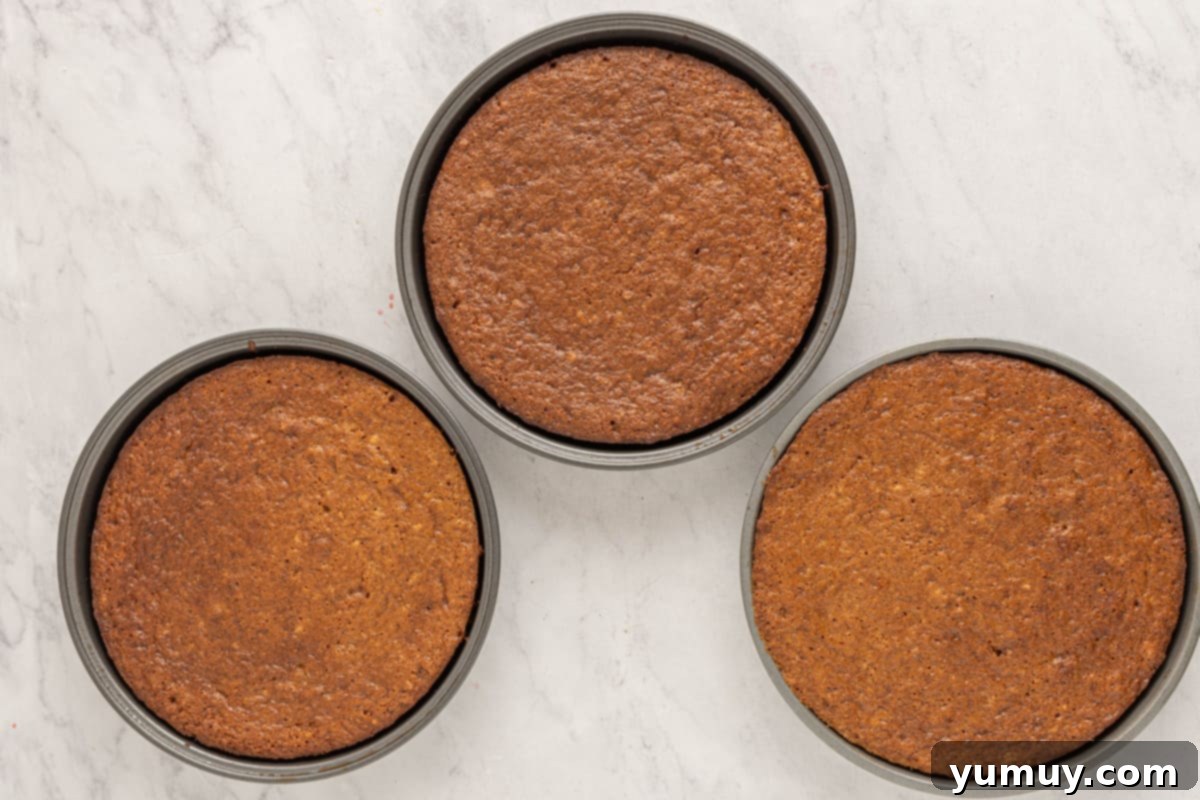 baked smores cake layers in three 9-inch round cake pans.