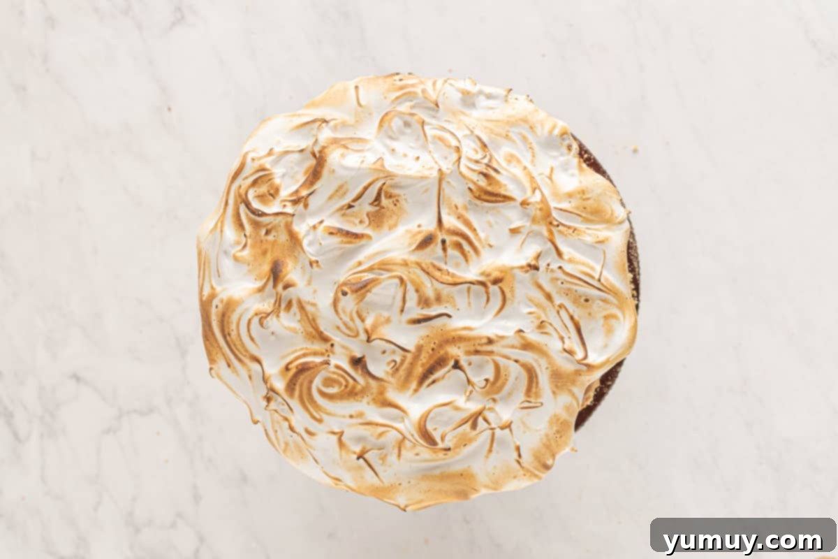 toasted meringue on top of a frosted smores cake on a cake stand.