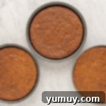 baked smores cake layers in three 9-inch round cake pans.