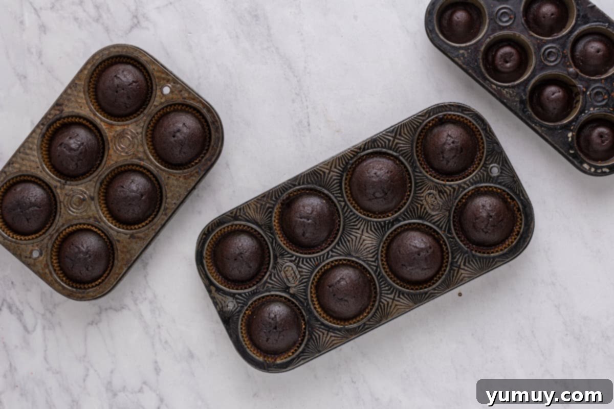 Freshly baked chocolate cupcakes still in their tins, ready to be cooled.