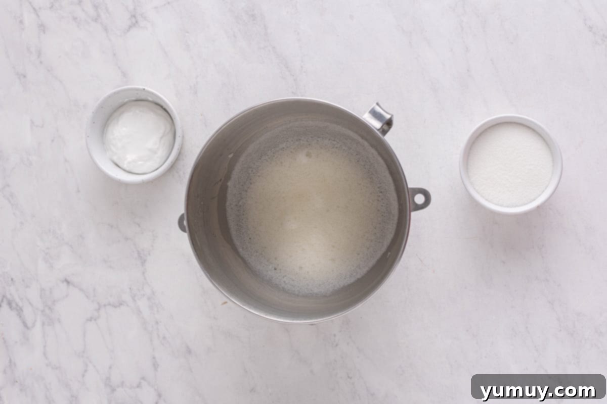 Salt and cream of tartar added to the foamy egg whites in a stainless steel mixing bowl, continuing to whip.