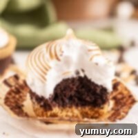 Featured s'mores cupcakes with toasted marshmallow meringue.