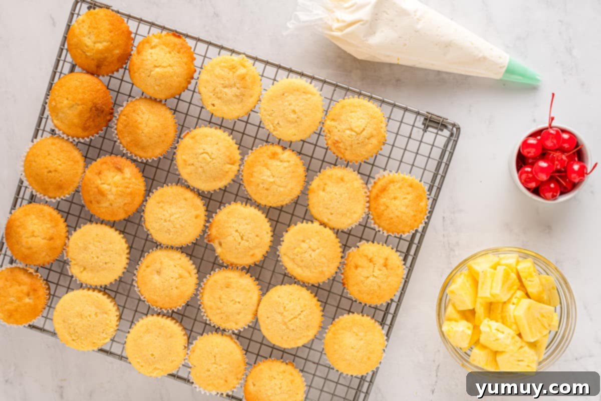 Baked cupcakes cooking on a wire rack, next to bowls of pineapples and cherries.