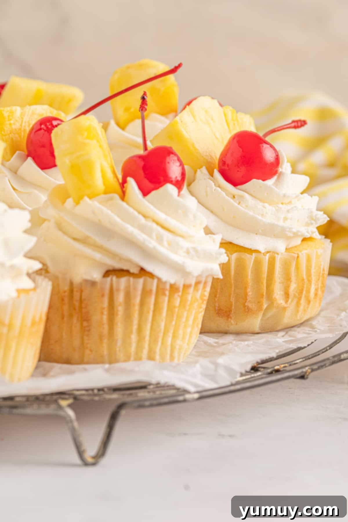 pineapple cupcakes with buttercream and cherries on top.
